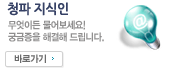 청파지식인